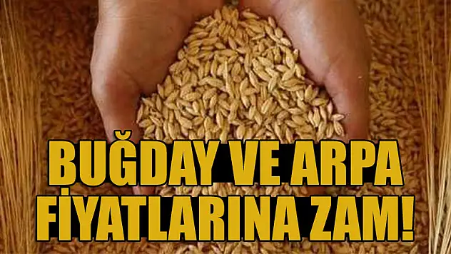Buğday ve arpa fiyatlarına zam!