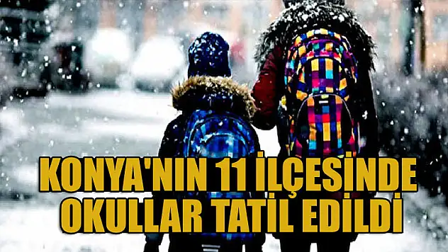 Konya'nın 11 ilçesinde okullar tatil edildi