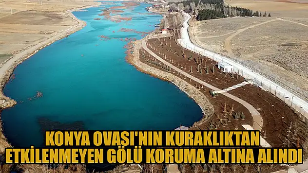 Konya Ovası'nın kuraklıktan etkilenmeyen gölü koruma altına alındı