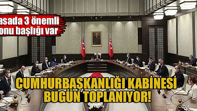 Cumhurbaşkanlığı Kabinesi bugün toplanıyor: Masada 3 önemli konu başlığı var