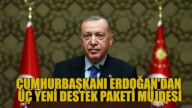 Cumhurbaşkanı Erdoğan'dan üç yeni destek paketi müjdesi