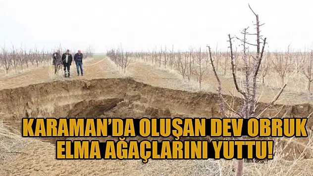 Karaman'da oluşan dev obruk, elma ağaçlarını yuttu