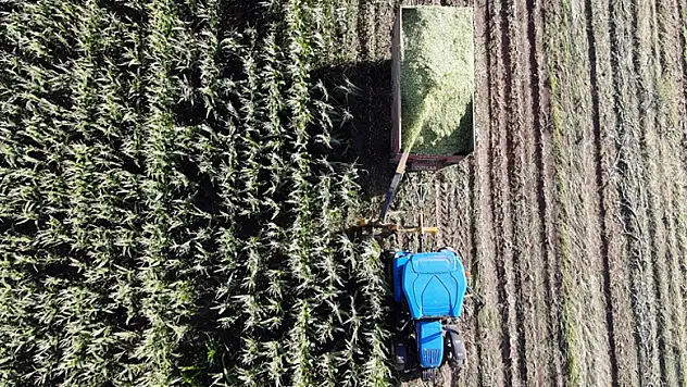 Uzman Eller Projesi başvurularında sona gelindi