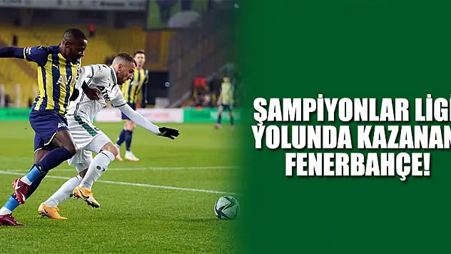 Şampiyonlar Ligi yolunda kazanan Fenerbahçe!