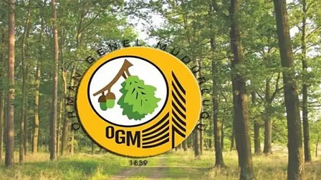 Orman Genel Müdürlüğü 5 bin geçici işçi alacak