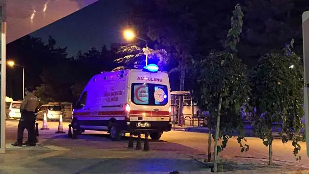 Otomobilin çarptığı at telef oldu, üzerindeki binici yaralandı