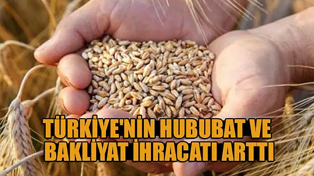 Türkiye'nin hububat ve bakliyat ihracatı ilk 3 ayda yüzde 40 arttı