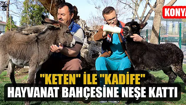 'Keten' ile 'Kadife' Konya hayvanat bahçesine neşe kattı
