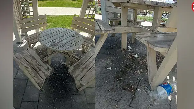 Baharın habercisi geldi!