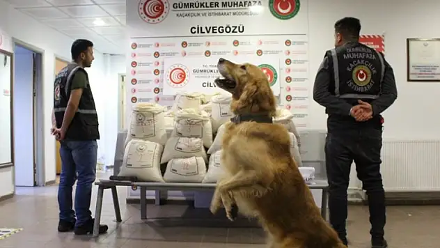 Gümrüklerde üç ayda 3,1 milyar liralık kaçak eşya ele geçirildi