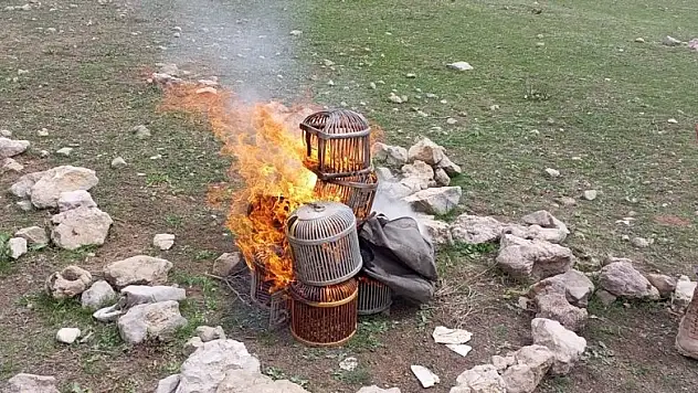 Şırnak'ta kınalı keklikler doğaya bırakıldı, kafesleri yakıldı