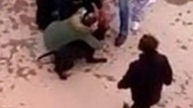 Minik Asiye'ye pitbull saldırısında tahliye edilen 3 sanık tekrar tutuklandı