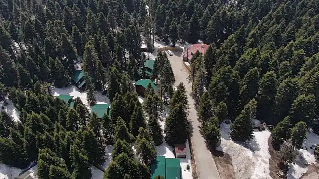 Uludağ'ın orman köşkleri bayram ve yaza hazır