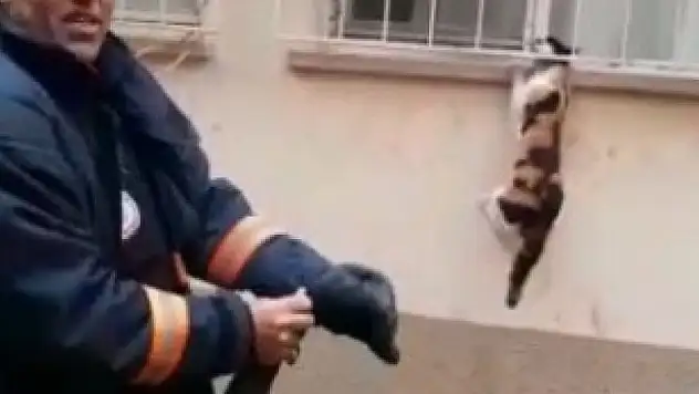Pencere korkuluğuna sıkışan kediyi itfaiye kurtardı