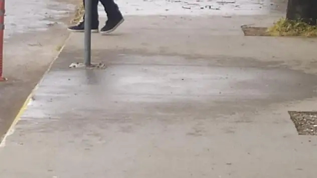 Lüks otomobil önce kaldırıma çıktı, sonra ağaca çarptı