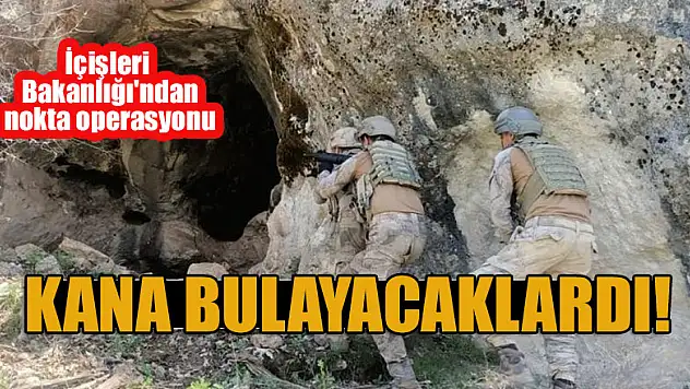 Jandarma anında harekete geçti: Kana bulayacaklardı!