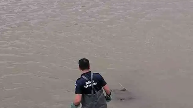 Derede mahsur kalan köpeği itfaiye ekipleri kurtardı