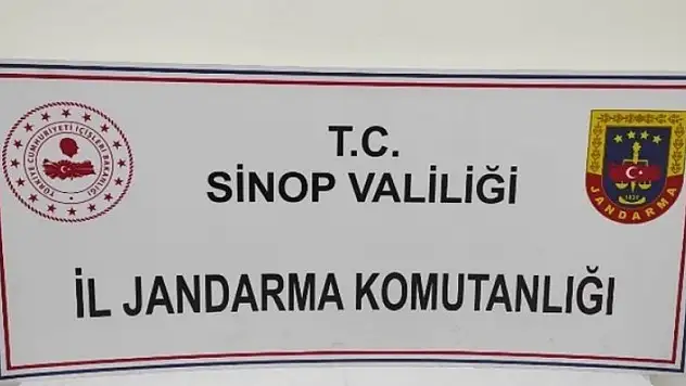 Türkeli'de ruhsatsız tabanca ele geçirildi