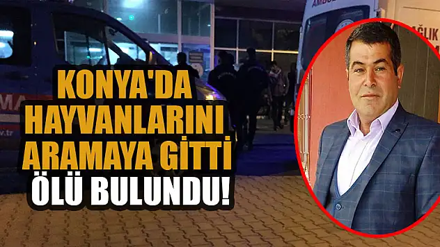 Konya'da hayvanlarını aramaya gitti ölü bulundu