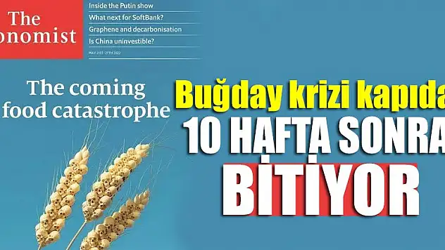 Buğday krizi kapıda, 10 hafta sonra bitiyor