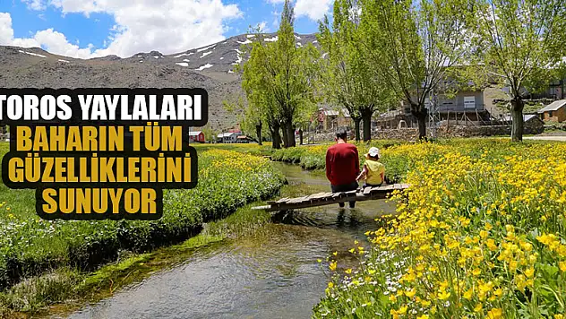 Toros Dağlarındaki yaylalar baharın tüm güzelliklerini sunuyor