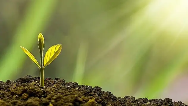 Türkiye Çevre Haftası 'Sıfır Atık' temasıyla kutlanacak