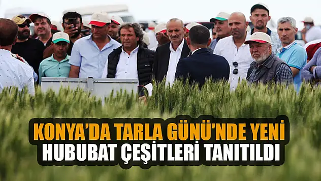 Konya'da Tarla Günü'nde yeni hububat çeşitleri tanıtıldı
