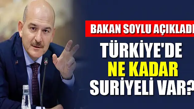 Bakan Soylu Türkiye'deki Suriyeli sayısını açıkladı