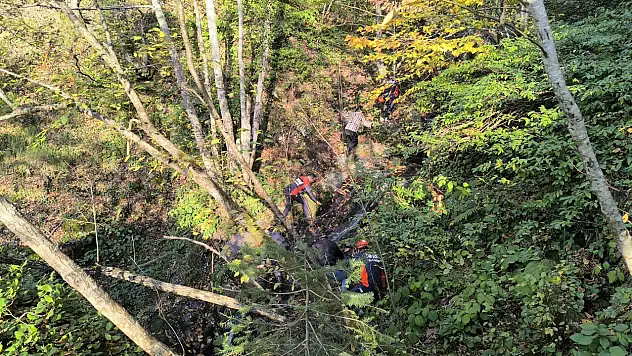 9 gündür kayıp annenin cesedi kuzgunlar sayesinde bulunmuş