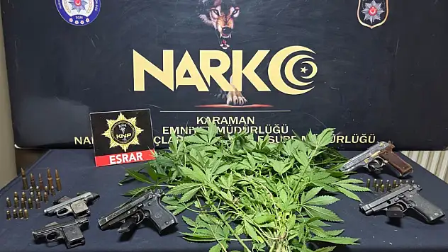 9 ruhsatsız silah ele geçirildi. 10 kişi tutuklandı