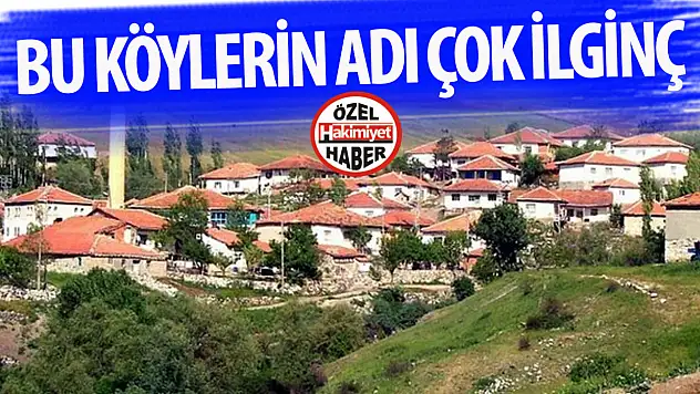 Burunsuz, Karadona, Dulayşe, Sülüklü! İşte Konya'daki sıra dışı köy isimleri