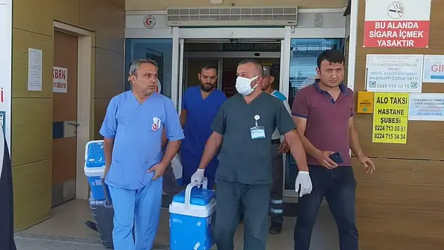 Acı kayıp umuda dönüştü: 4 hastaya can oldu