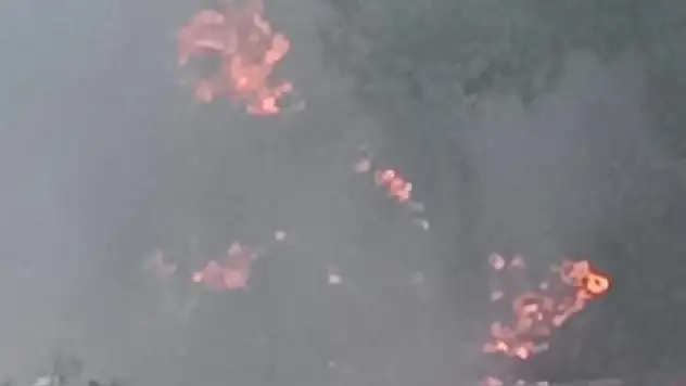 Adana'da orman yangını!