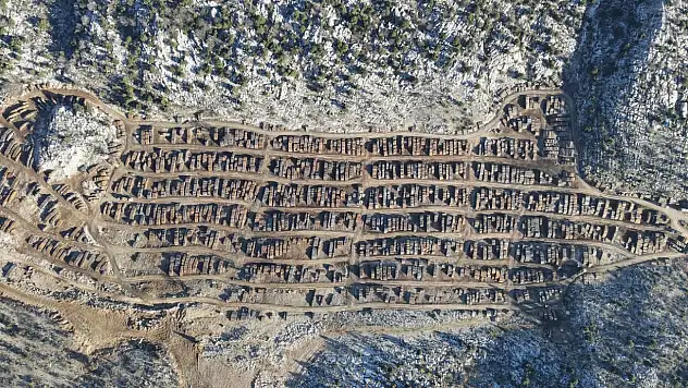 Adana'da ormandan 2.3 milyar TL gelir elde edildi