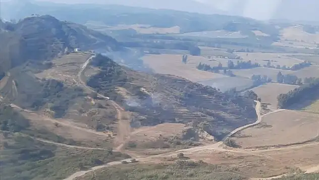 Adana'da orman yangını