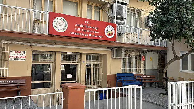 Ağaca çarptı hayatını kaybetti