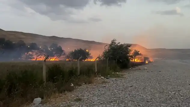 Ağaçlık alanda yangına anında müdahale!