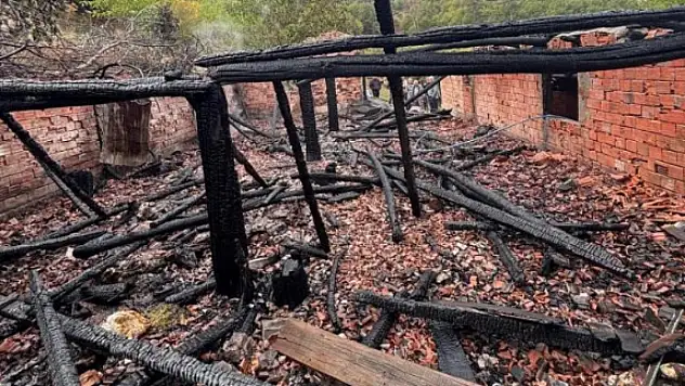 Ahırda çıkan yangın faciayla sonlandı: 30 hayvan telef oldu!