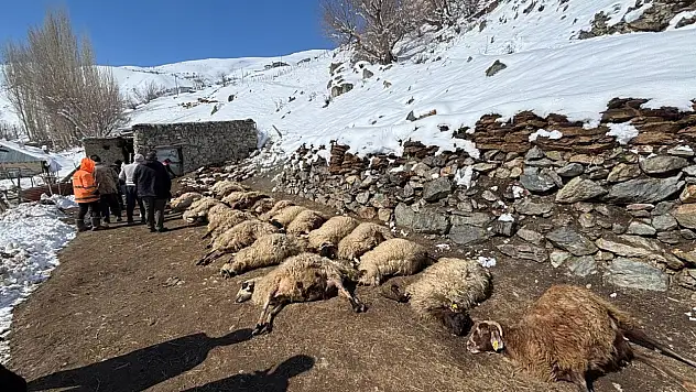 Ahırda feci yangın: 67 küçükbaş hayvan telef oldu