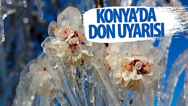 AKOM uyardı: Don ve buzlanmaya dikkat!