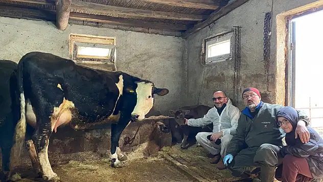 Aksaray Üniversitesi'nden genetik devrim: Dünya'da bir ilk!