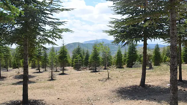 Akyokuş Çiftliği Konyalıları bekliyor