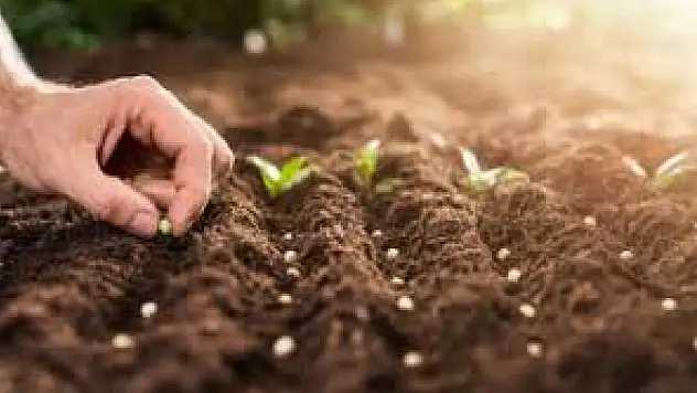 Alarko Tarım'dan Konya'ya dev yatırım!