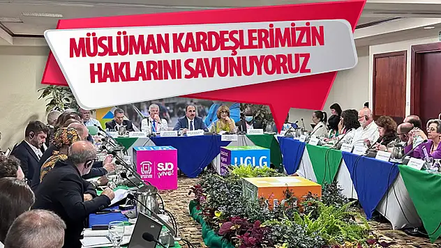 Altay: Müslüman kardeşlerimizin haklarını savunuyoruz!