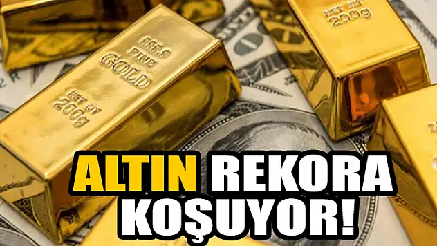 Altın rekora koşuyor!