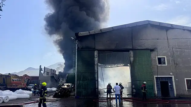 Ambalaj Fabrikasında Yangın Çıktı