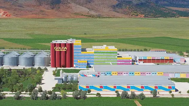 Anadolu'nun parlayan yıldızı Golda Makarna yüzde 20 büyüdü