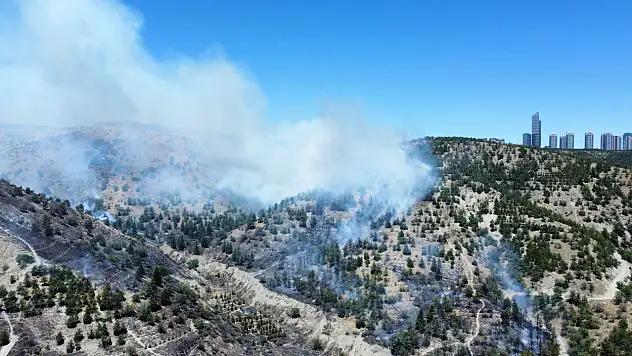 Ankara'da yangın: Eymir Gölü'nü duman kapladı!