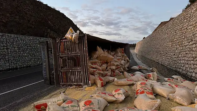 Antalya–Konya yolunda kaza: Yem yüklü TIR devrildi