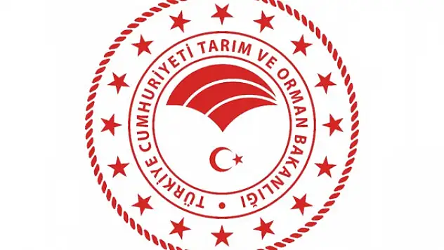 Araç kiralama hizmeti alınacak